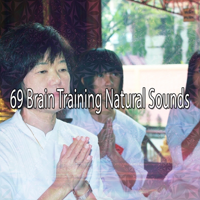 Couverture de 69 Brain Training Natural Sounds