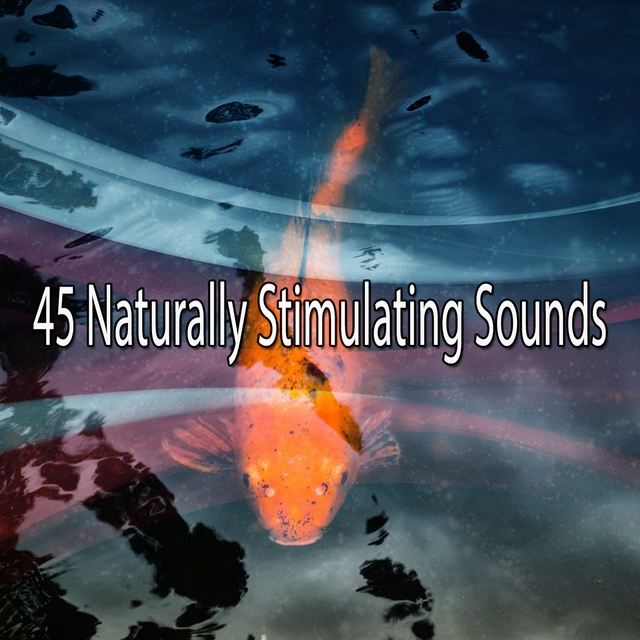 45 Naturally Stimulating Sounds