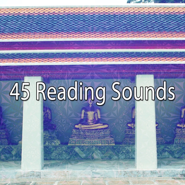 Couverture de 45 Reading Sounds