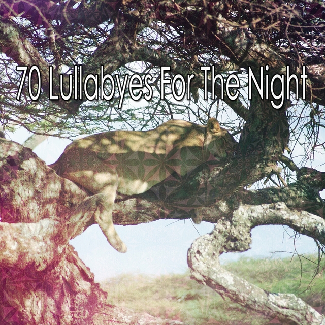 70 Lullabyes For The Night