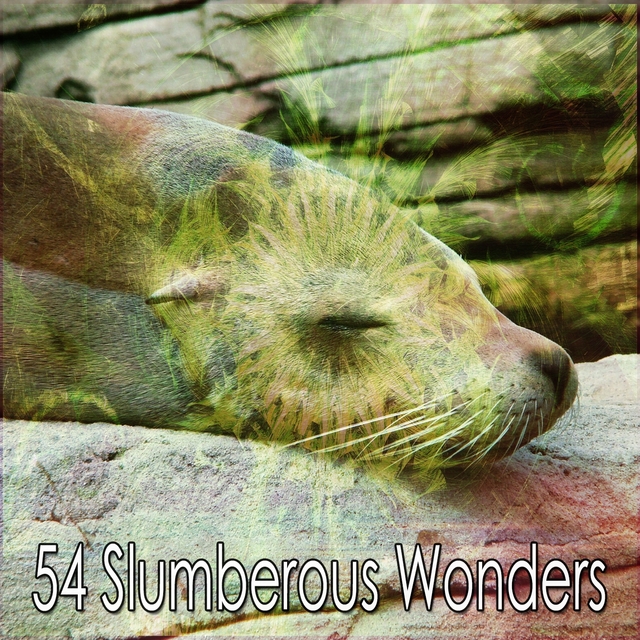 Couverture de 54 Slumberous Wonders