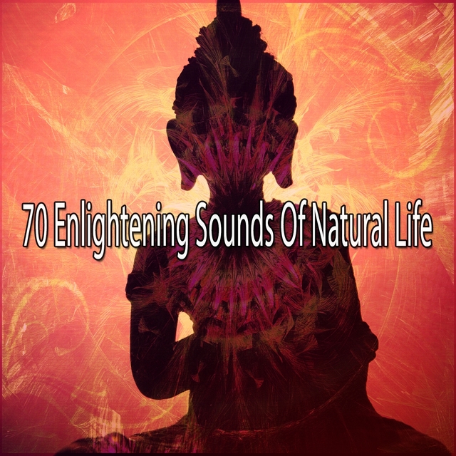 70 Enlightening Sounds Of Natural Life