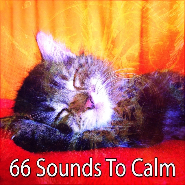 Couverture de 66 Sounds To Calm