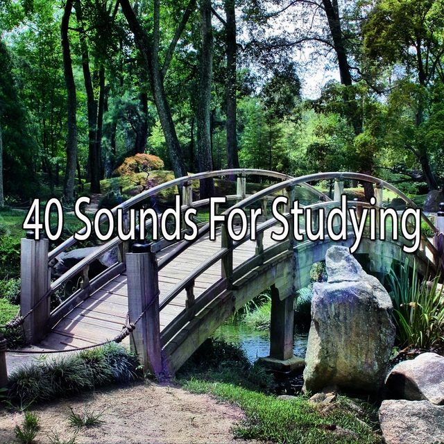 Couverture de 40 Sounds For Studying