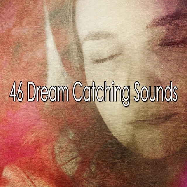 Couverture de 46 Dream Catching Sounds