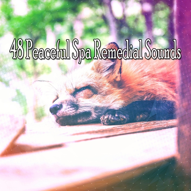 48 Peaceful Spa Remedial Sounds