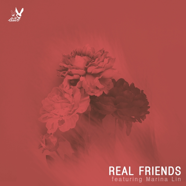 Couverture de Real Friends