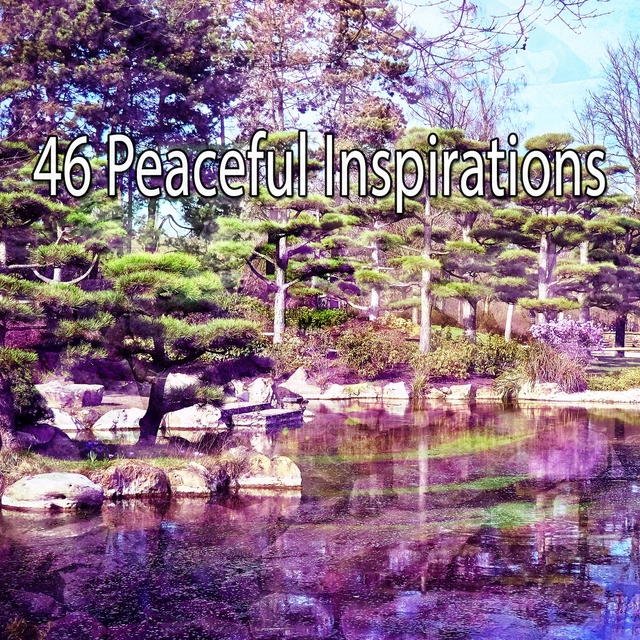 Couverture de 46 Peaceful Inspirations