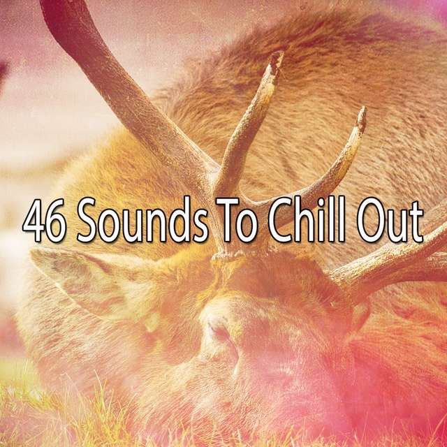 46 Sounds To Chill Out