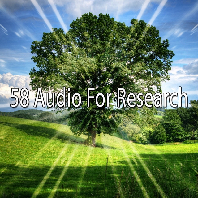 58 Audio For Research