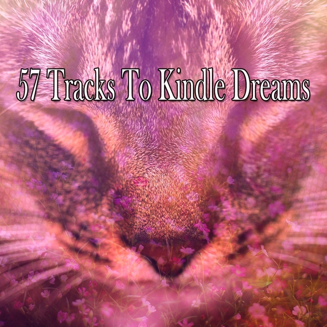 Couverture de 57 Tracks To Kindle Dreams