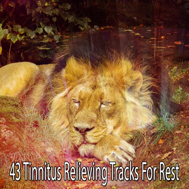 Couverture de 43 Tinnitus Relieving Tracks For Rest