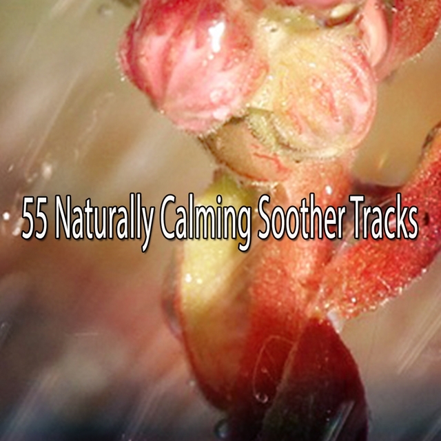 Couverture de 55 Naturally Calming Soother Tracks