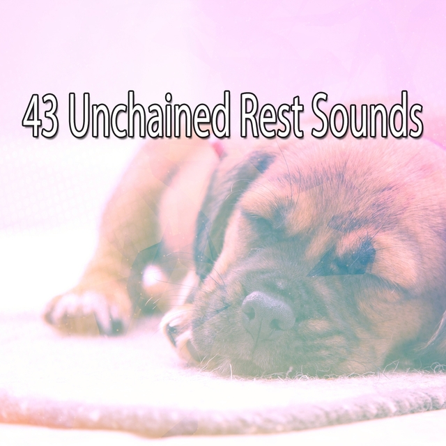 Couverture de 43 Unchained Rest Sounds