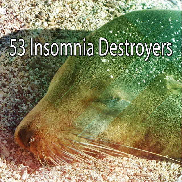 Couverture de 53 Insomnia Destroyers