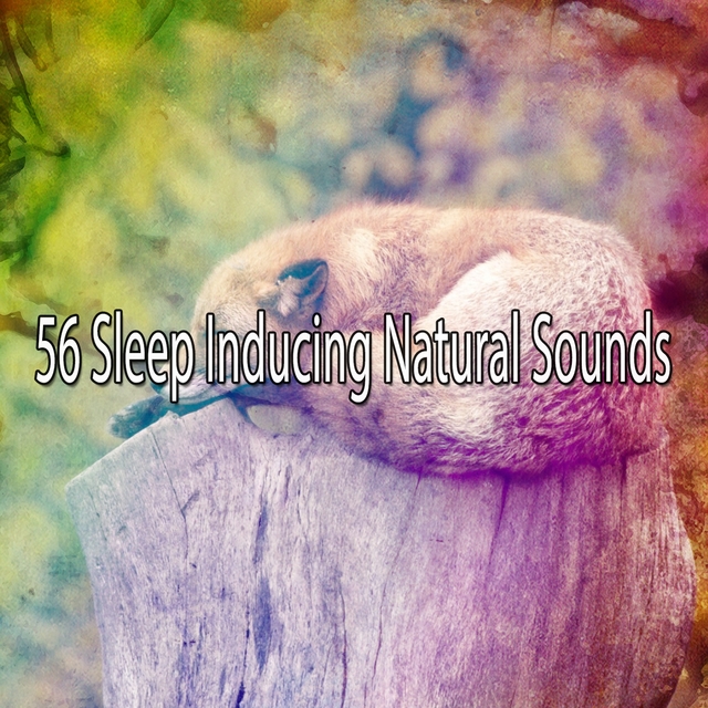 Couverture de 56 Sleep Inducing Natural Sounds