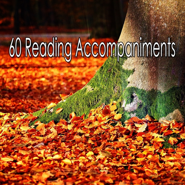 Couverture de 60 Reading Accompaniments