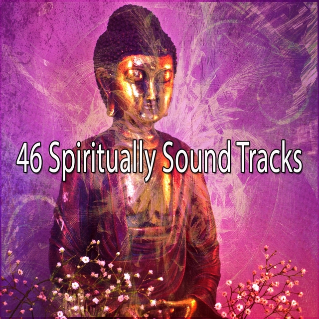 Couverture de 46 Spiritually Sound Tracks