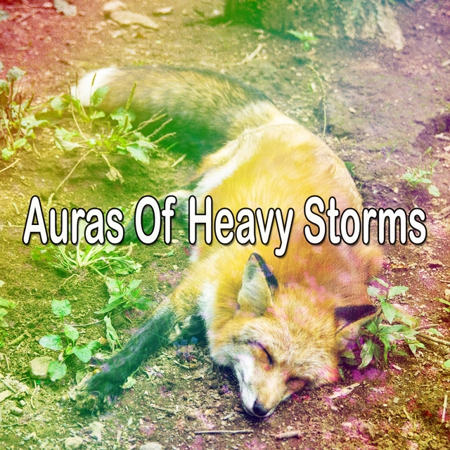 Couverture de Auras Of Heavy Storms