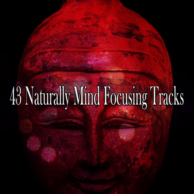 43 Naturally Mind Focusing Tracks