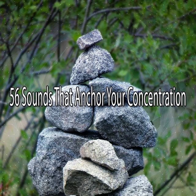 Couverture de 56 Sounds That Anchor Your Concentration