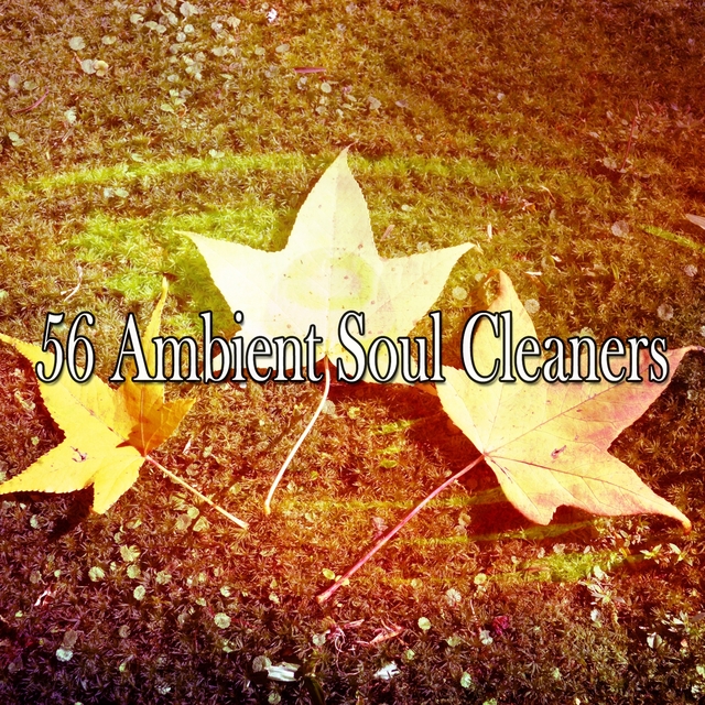 Couverture de 56 Ambient Soul Cleaners