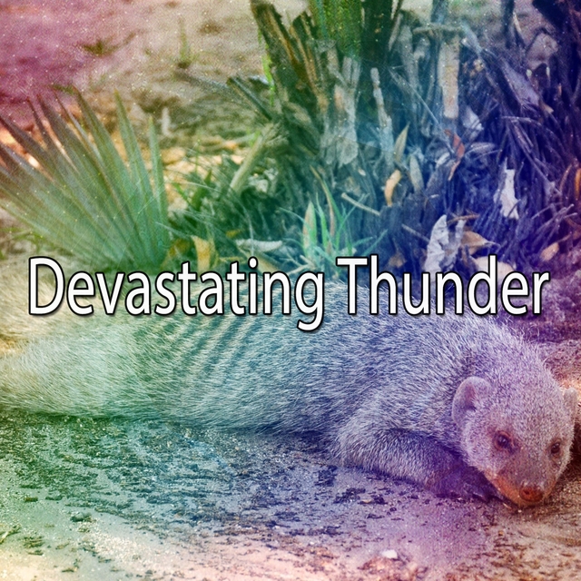 Couverture de Devastating Thunder