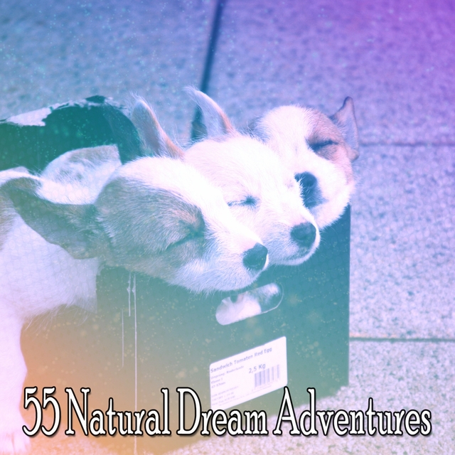 55 Natural Dream Adventures