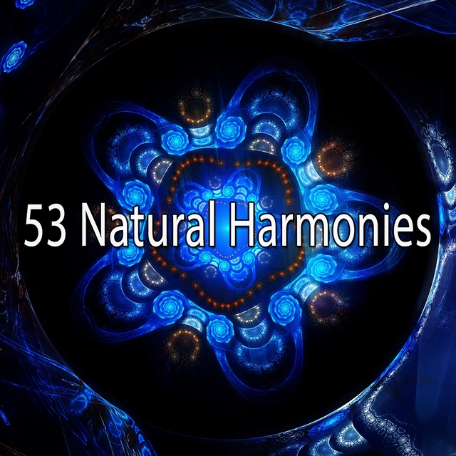 Couverture de 53 Natural Harmonies