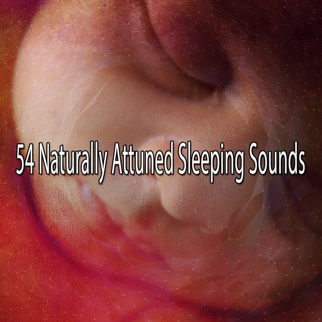 Couverture de 54 Naturally Attuned Sleeping Sounds