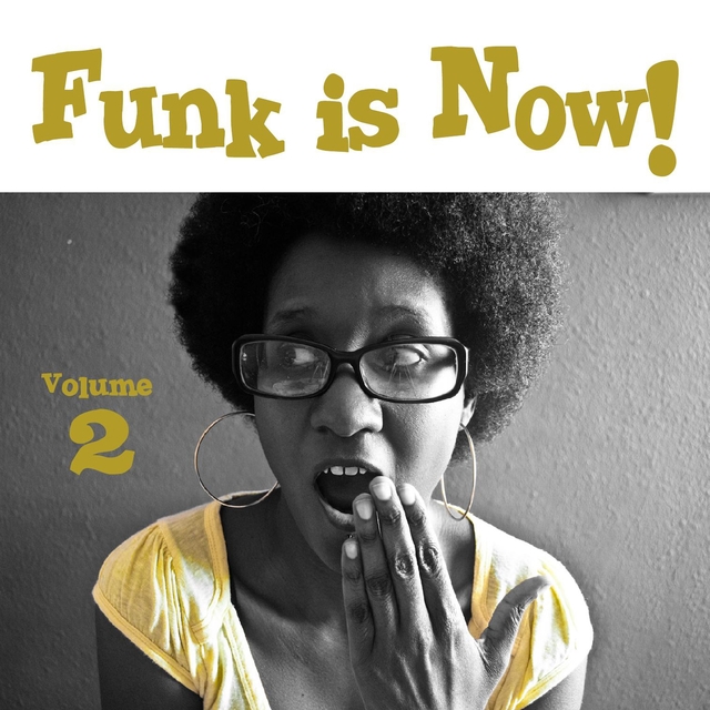Funk is Now! Vol. 2