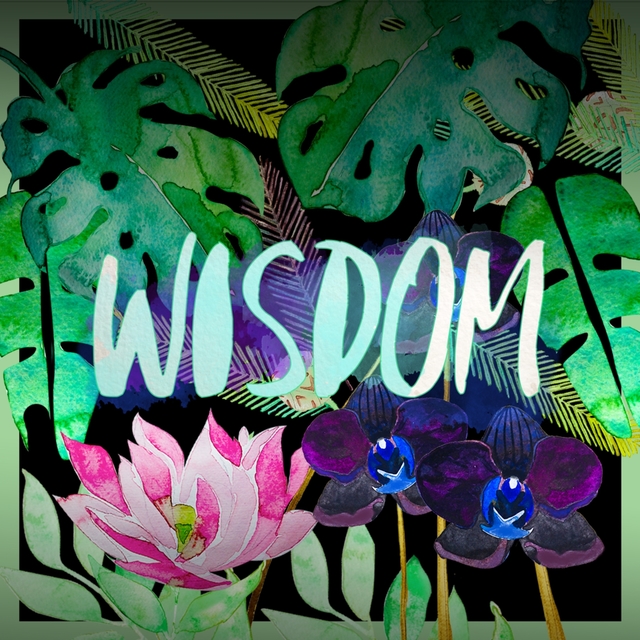 Couverture de Wisdom