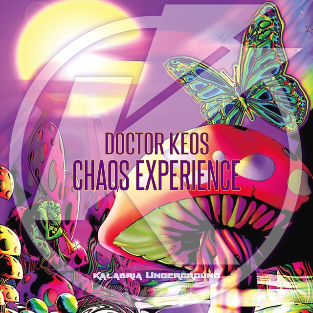 Couverture de Chaos Experience