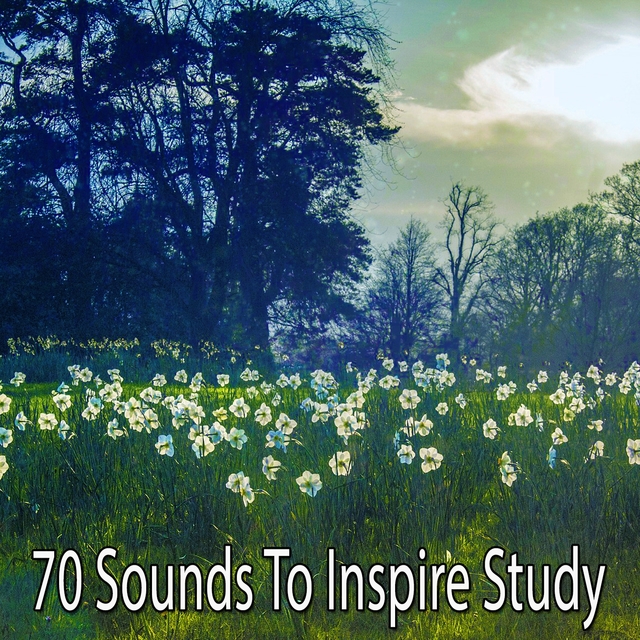 Couverture de 70 Sounds To Inspire Study