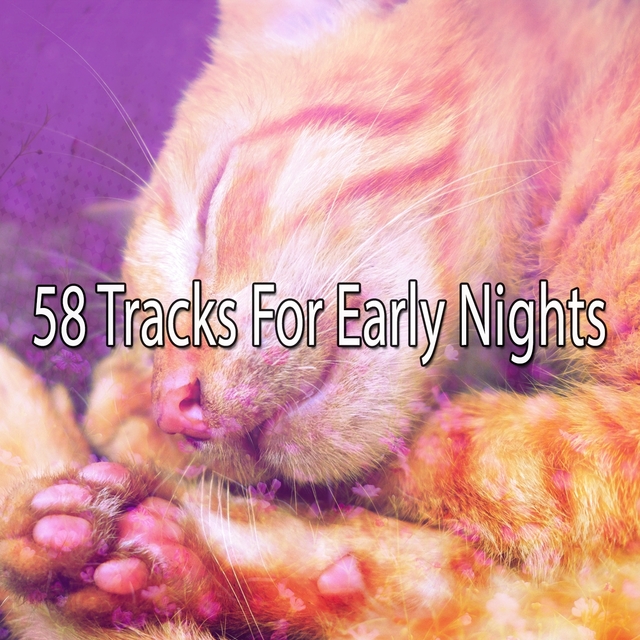 Couverture de 58 Tracks For Early Nights