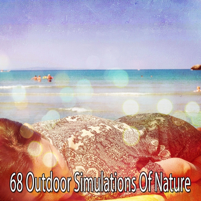 Couverture de 68 Outdoor Simulations Of Nature