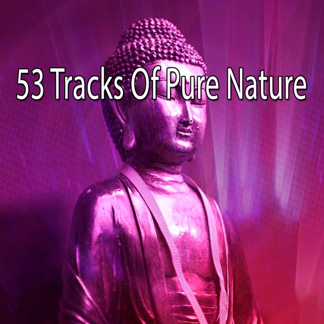 53 Tracks Of Pure Nature