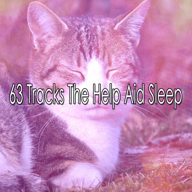 63 Tracks The Help Aid Sleep