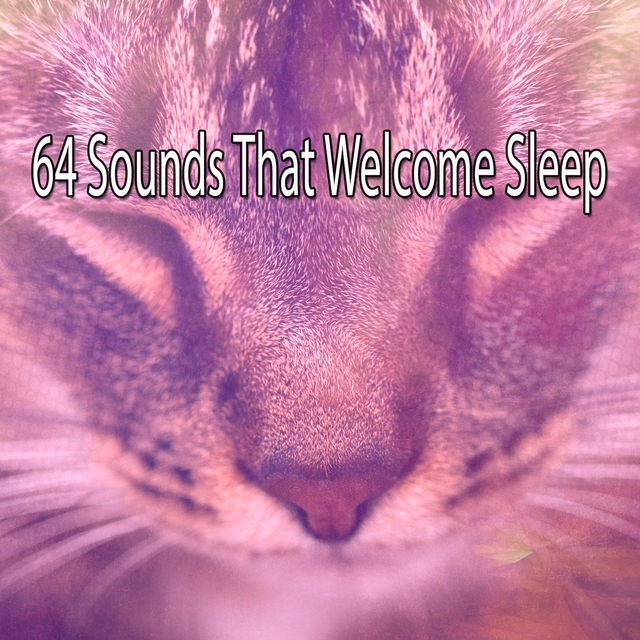 64 Sounds That Welcome Sleep