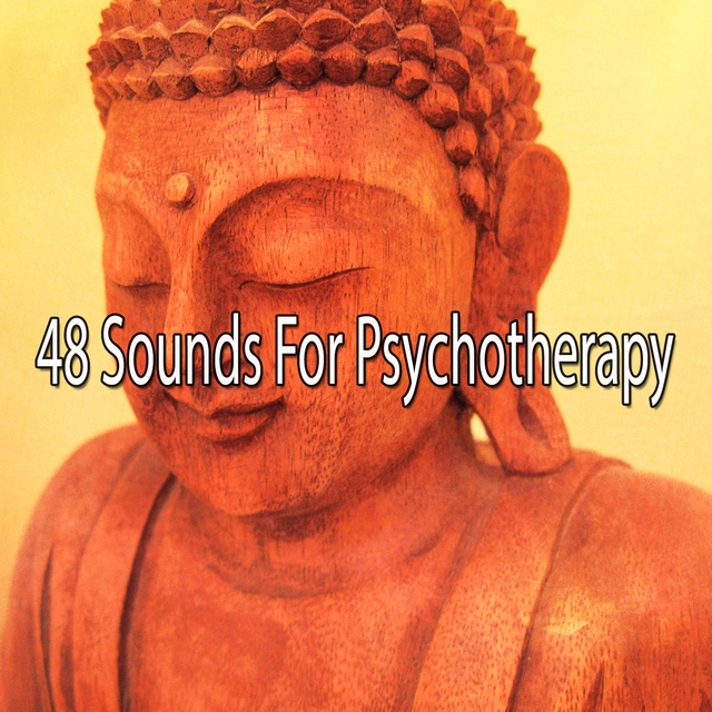 Couverture de 48 Sounds For Psychotherapy