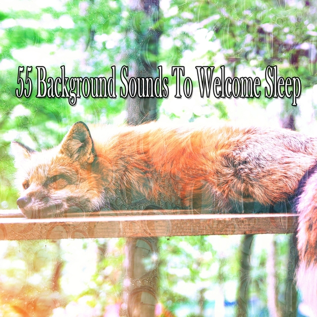 55 Background Sounds To Welcome Sleep