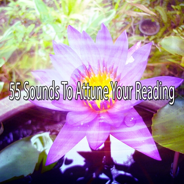 Couverture de 55 Sounds To Attune Your Reading