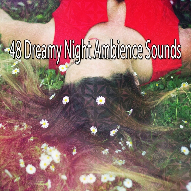 48 Dreamy Night Ambience Sounds