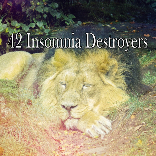 Couverture de 42 Insomnia Destroyers