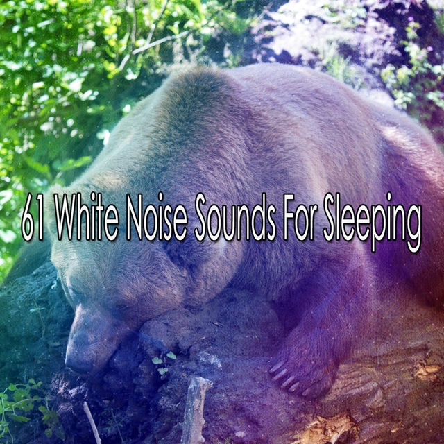 Couverture de 61 White Noise Sounds For Sleeping