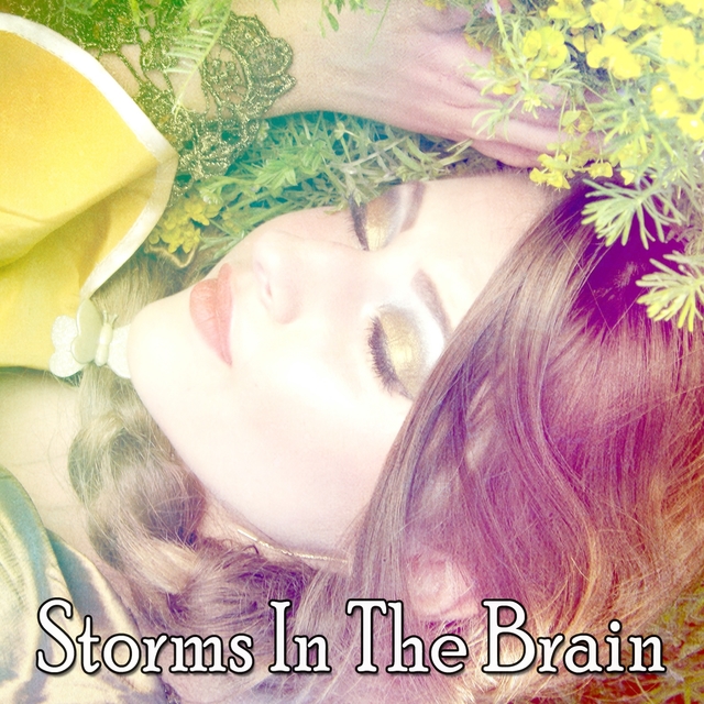 Couverture de Storms In The Brain