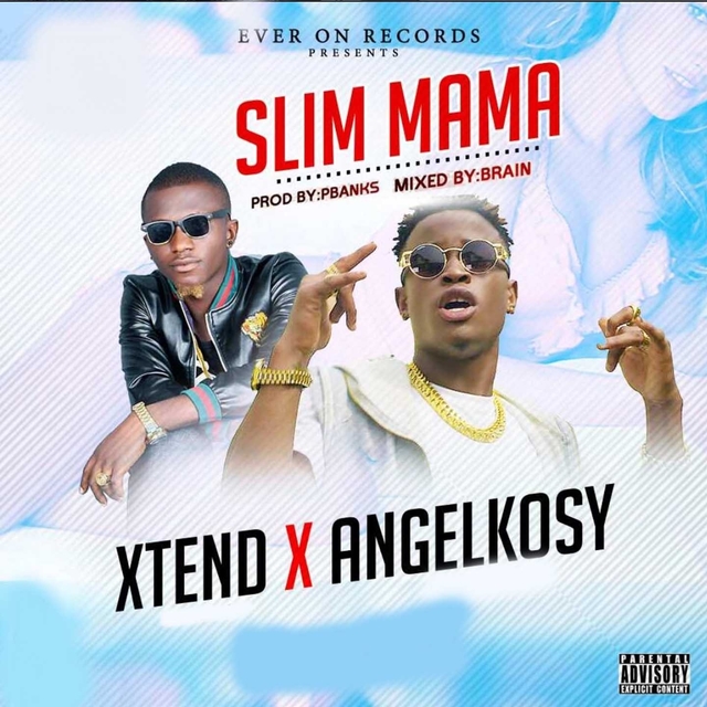 Couverture de Slim Mama