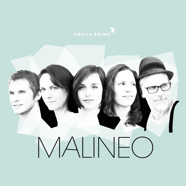 Couverture de Malineo