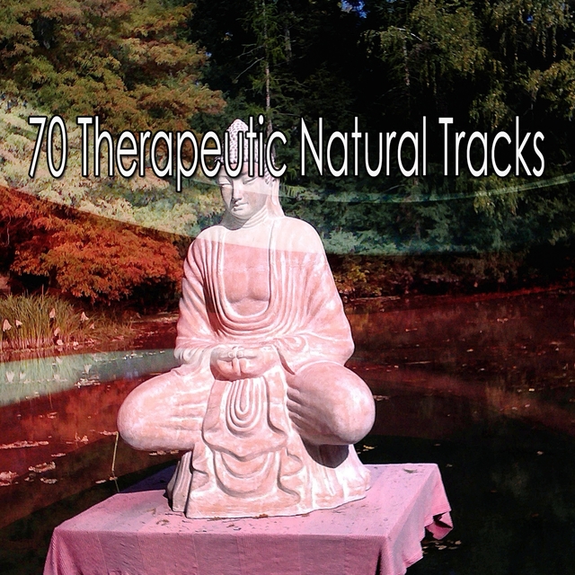 Couverture de 70 Therapeutic Natural Tracks