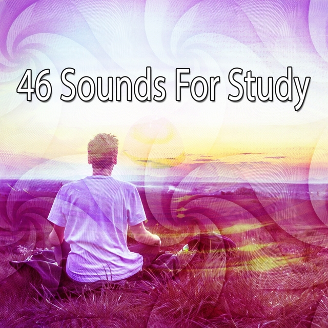 Couverture de 46 Sounds For Study